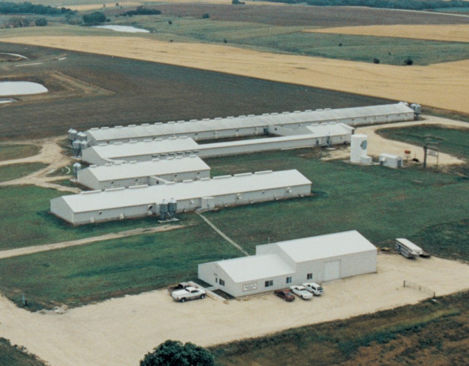 Osborne Pig Farm